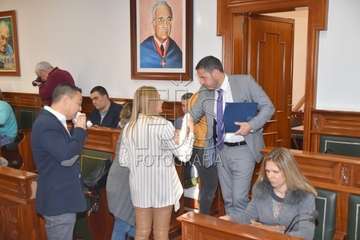 Pleno ordinario de enero de 2020 (Foto TA)